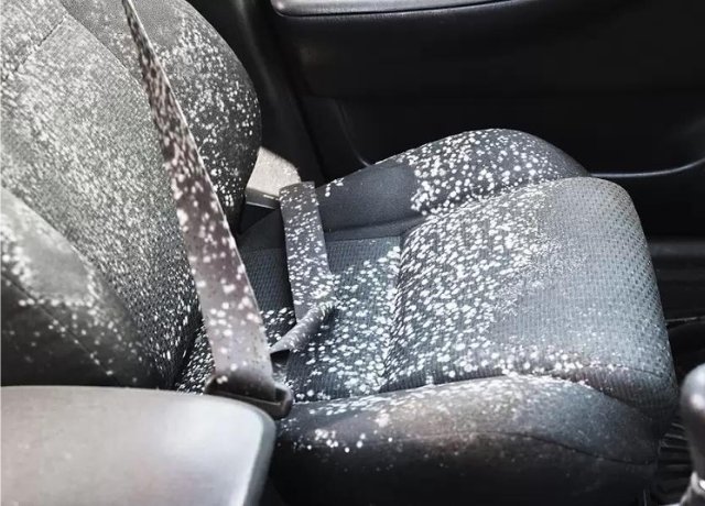 Mold Removal and Flood Damage in Vehicles