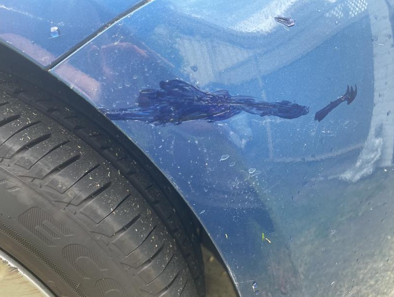 Can Paint Correction Fix Rock Chips? An In-Depth Look